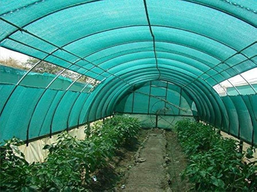 Buy Best Green House Net in Nagaland